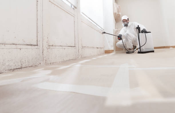 24/7 Emergency Mold Removal experts in Jenison, MI